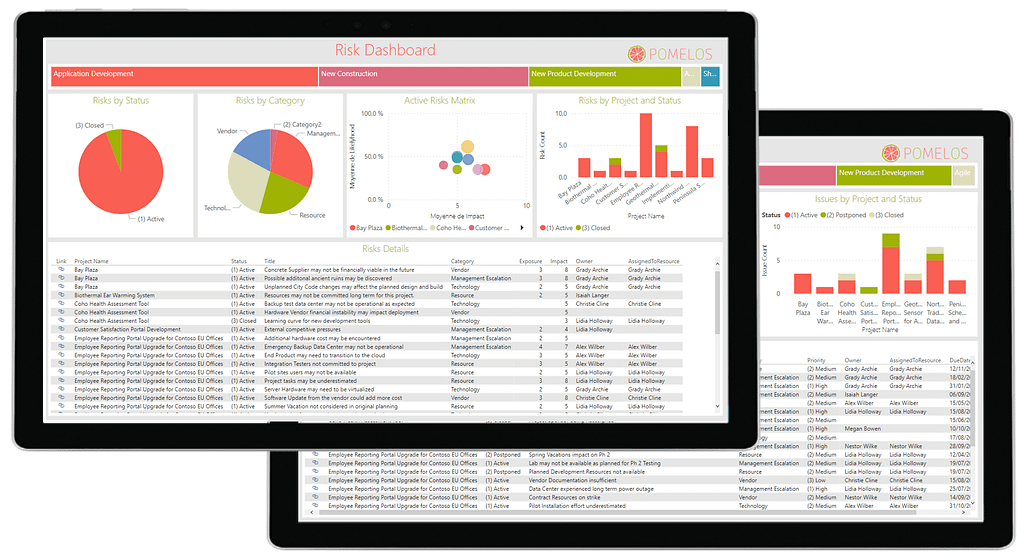 Rapports sur les risques et problèmes du portefeuille de projets
